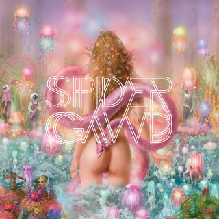 Spidergawd - From eight to infinity (Beastie Butterfly)